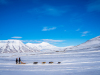 Svalbard: Sledetur